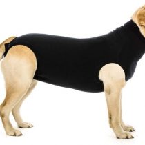 Suitical Recovery Suit Dog, Small Plus, Black