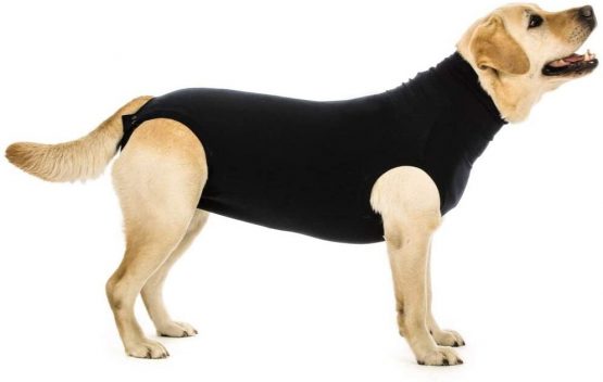 Suitical Recovery Suit Dog, Small Plus, Black