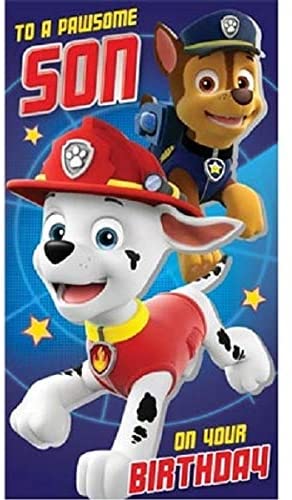 Paw Patrol Son Birthday Card, Multi, 12cm x 23cm