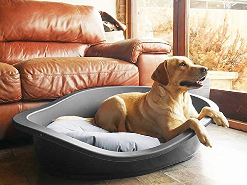 Rosewood Tough & Mucky Oval Dog Mattress, Large, 81cm, Water-Resistant Reversible Blue/Grey Pet Bed Cushion for Dogs - Image 4