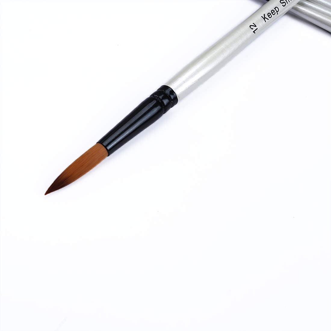Silithus Paint Brushes 12 Pieces Set - Image 3
