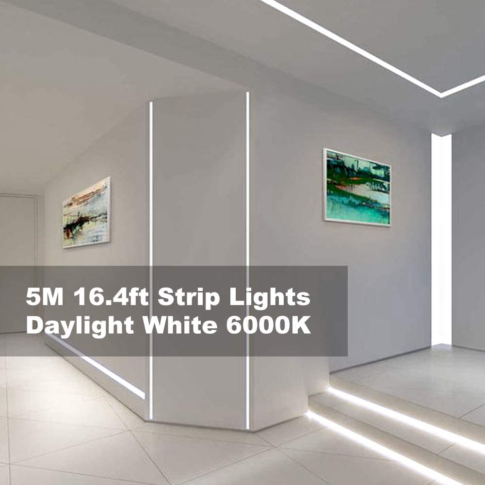 MH 5M Dimmable LED Strip Lights Kits, 12V Tape Light, 300 2835 LED, 16.4ft 6000K Daylight White Ribbon with Power Adapter - Image 3