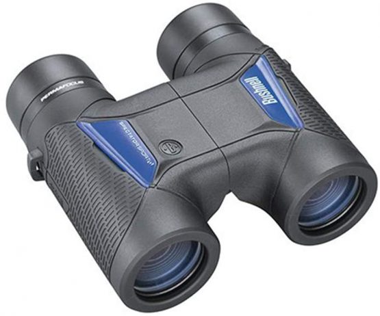 Bushnell - Spectator Sport - 8x32 - Black - Roof Prism - PermaFocus - Colored Tiles - BS1832