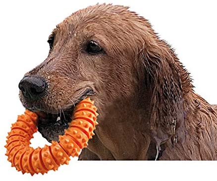 Karlie Boomer Rubber Aqua Ring, Large, Orange - Image 2