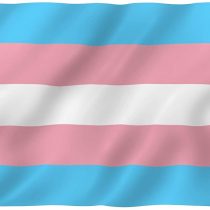 ANLEY Fly Breeze 3x5 Foot Transgender Flag - Vivid Color and UV Fade Resistant - Canvas Header and Double Stitched - Pink Blue Rainbow Flags Polyester with Brass Grommets 3 X 5 Ft