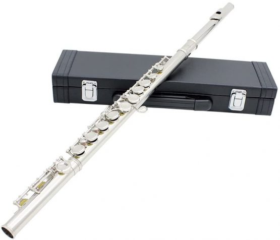 Andoer Flute, Western Concert Flute - Cupronickel Plated Silver 16 Holes C Key Flute Woodwind Instrument with Cleaning Cloth Stick Gloves Padded Carrying Case