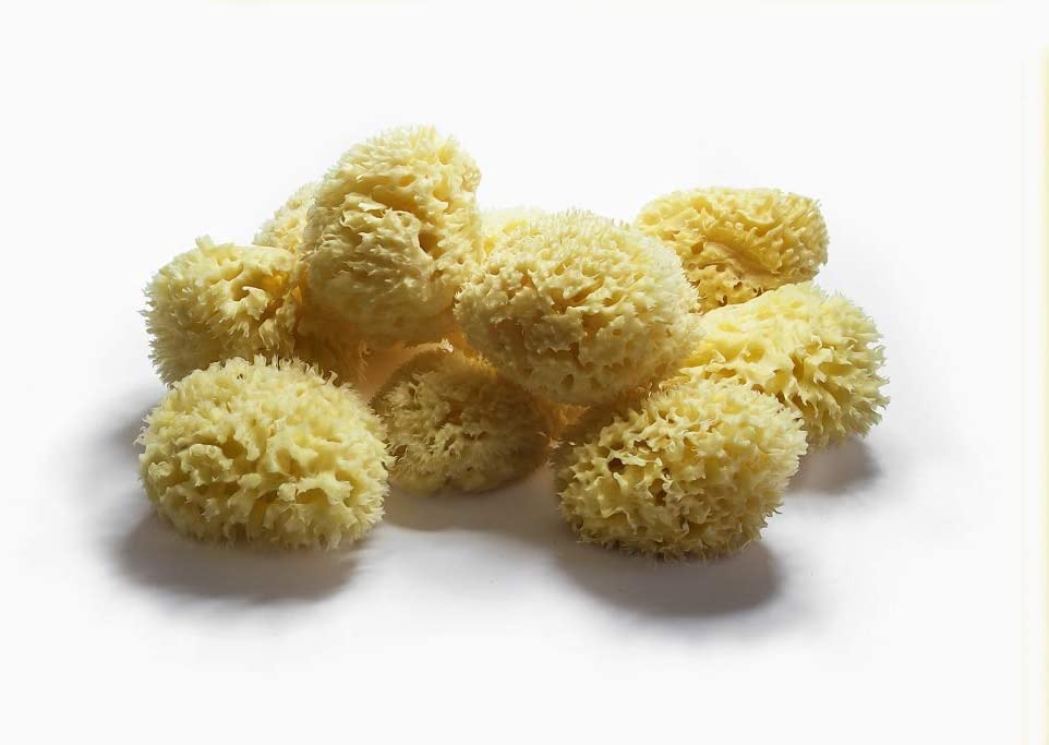 ana wiz Natural Honeycomb Sea Sponge. Soft and Absorbent- Perfect for Babies and Adults. Hypoallergenic