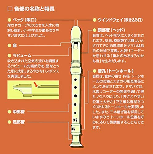 YAMAHA Recorder - Soprano, German Fingering, Brown - Image 4
