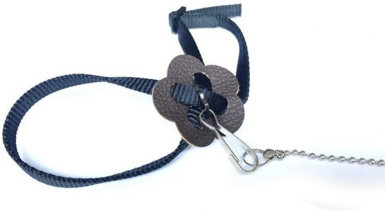 Yih Vane 2Pcs Bird Leashes Adjustable Harness Leash for Parrot Turtle Reptile Lizard - Image 3