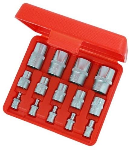14 Piece Star ' E ' Socket Set in CASE, Variety Pack