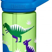 CAMELBAK Unisex_Adult Eddy+ Bottle
