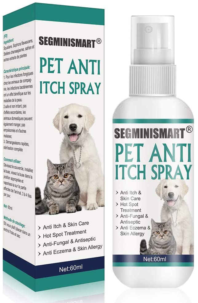 at home itch relief for dogs