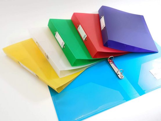Eastlight 2-Ring Binder A4 Frosted Assorted Pack of 6 - Image 2