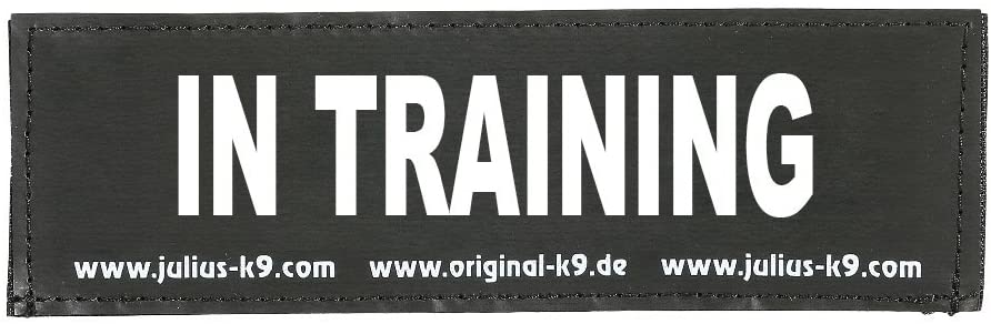 Julius-K9 Original Interchangeable Patch, Small, Black, In Training