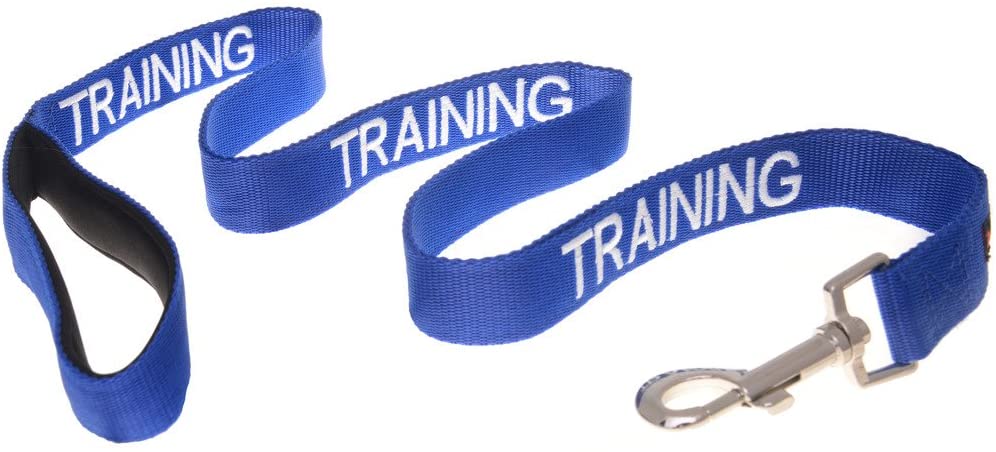 Dexil TRAINING (Dog In Training/Do Not Disturb) Blue Colour Coded 60cm 1.2m 1.8m Luxury Neoprene Padded Handle Dog Leads PREVENTS Accidents By Warning Others Of Your Dog In Advance (1.2m) - Image 2