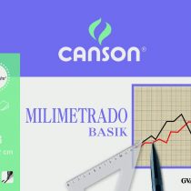 Canson 402863 - Sketching Paper, 50 Sheets.
