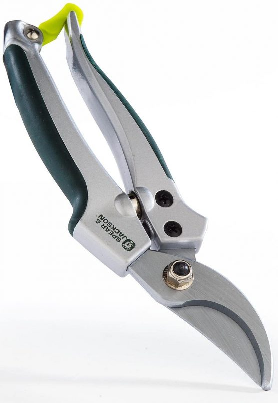 Spear & Jackson 4171LKEW Bypass Secateur with Metal Handle, Blue, Large - Image 2