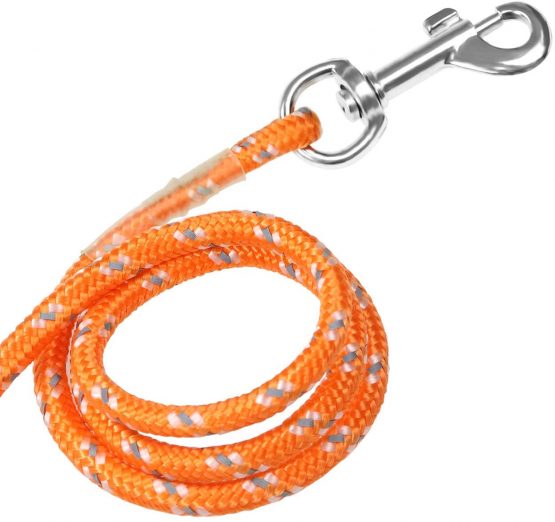 Joytale Long Training Lead for Dogs, 10M Reflective Dog Tie Out, Recall Nylon Rope Line for Small and Puppy Dog, Orange - Image 4