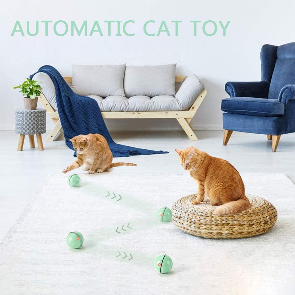 interactive cat toys with timers