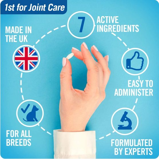 JOINTSURE Joint Support Supplements for Dogs – 300 Tabs, Aids Stiff Joints, Supports Joint Structure & Maintains Mobility in Adult/Senior Dogs | Advanced Formula Helps Arthritis Relief - Image 4