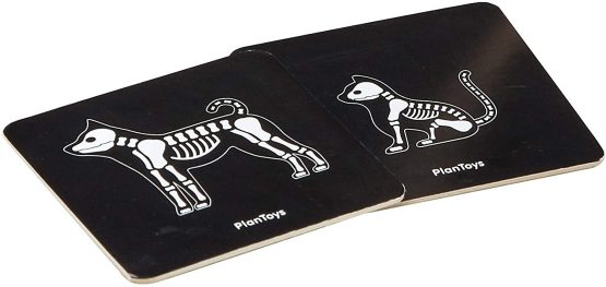 PlanToys 3490 Veterinary Set, Multiple Colour - Image 3