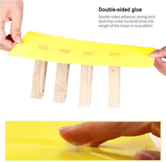 Vascinate 20PCS Yellow 20x15cm Dual-Sided Traps, Paper Stickers, Catcher Sticky Board for Flying Plant Insect Aphids, Leafminers (Included Twist Ties) - Image 2