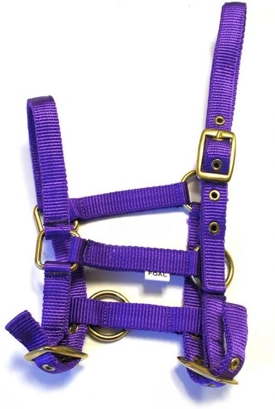 Rhinegold Nylon Foal Headcollar