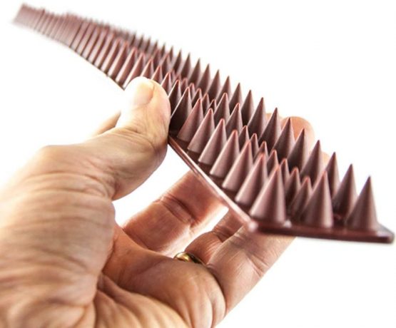 GEEZY 10 Piece Anti Climb Fence Wall Spikes Burglars Cats Birds Repellent Deterrent, 5 Meters - Image 3