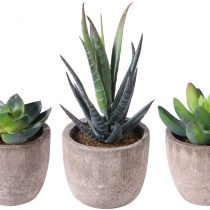 BESTOMZ 3pcs Decorative Faux Succulent Artificial Succulent Fake Simulation Plants with Pots