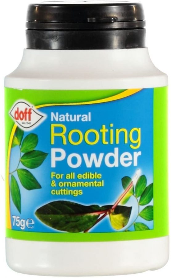 2 x Doff® Hormone Rooting Powder 75g - Help New Roots On Cuttings and Promotes Strong Healthy Roots - Image 2