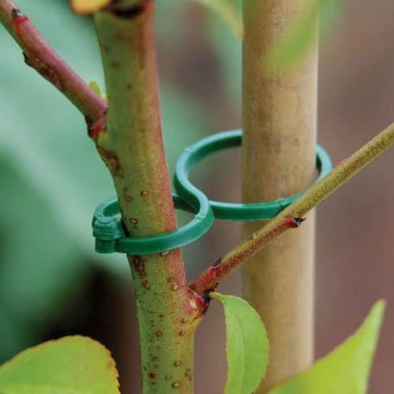 KINGLAKE 100 PCS Plastic Plant Clip Plant Rings Garden Flower Clips For Supports Plant - Image 4