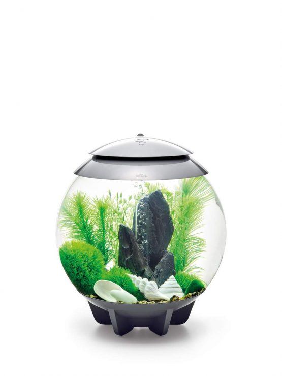 biOrb Decor Set 30L Stone Garden - Image 3