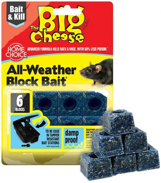 The Big Cheese STV211 All-Weather Block Bait ,6 x 10 g