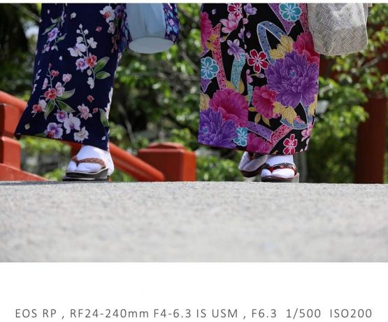 Canon RF 24-240mm F4-6.3 IS USM Lens - Image 4