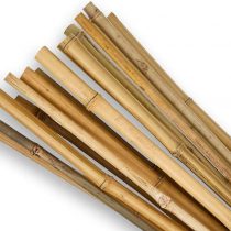 SupaGarden 2ft High Quality Extra Strong Bamboo Garden Canes Stakes Pack of 20