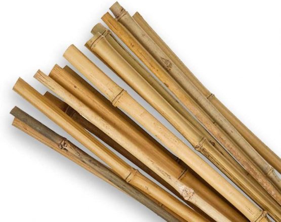 SupaGarden 2ft High Quality Extra Strong Bamboo Garden Canes Stakes Pack of 20