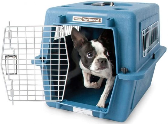 Petmate Vari Kennel Fashion upto 15LBS, True Blue - Image 2