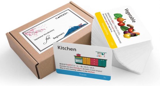 CARDDIA Japanese Vocabulary for Beginners (Illustrations - with example sentences)
