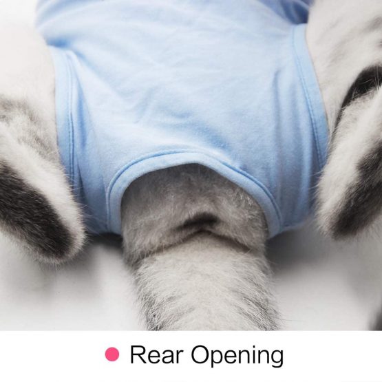 Cat Professional Recovery Suit for Abdominal Wounds or Skin Diseases, E-Collar Alternative for Cats and Dogs, After Surgery Wear, Home Clothing (L, Blue) - Image 3