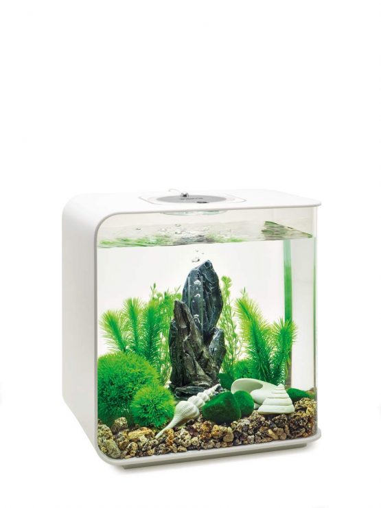 biOrb Decor Set 30L Stone Garden - Image 2