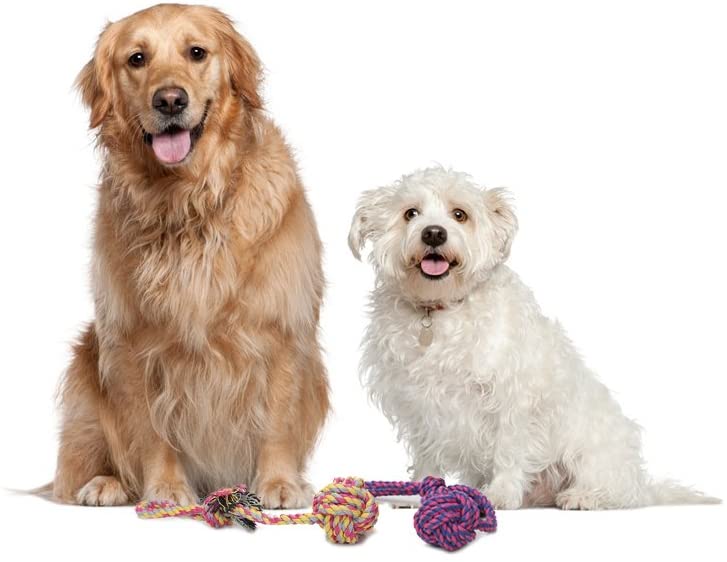 Vivifying Dog Rope Toys, Pack of 2 Interactive Braided Cotton Pet Chew Rope Toys for Dog Teeth Cleaning, Blue&Green - Image 4
