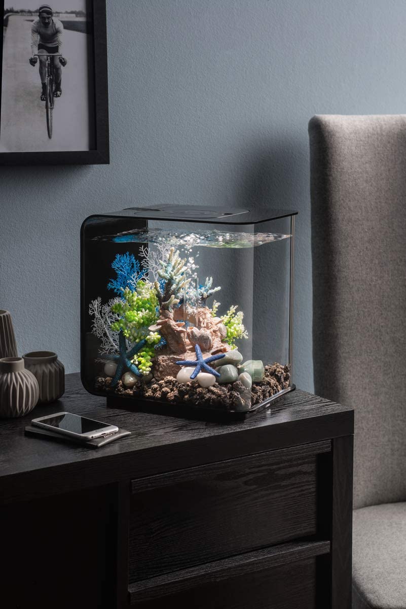 biOrb FLOW 15 LED black, 15 litres - Image 2
