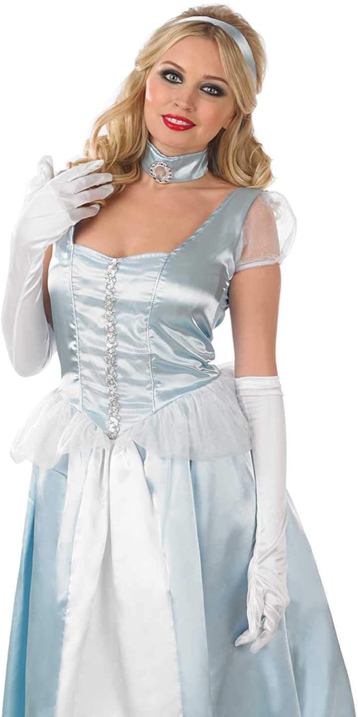 Womens Princess Costume Adults Royal Blue Fairytale Queen Gown Dress ...