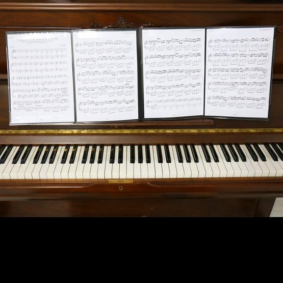 Piano Music Score Folder, A4 Music Sheet Folder, 6 Pages Expanded File Folder, PVC Music Paper Display, Folding Document Paper Folder Music Display, 2pcs - Image 2