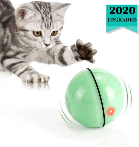 round cat toy with ball