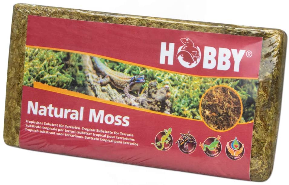 Dohse Aquaristik 34174 Natural Moss, Green