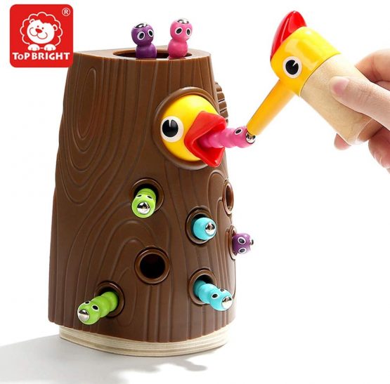 TOP BRIGHT Toddler Magnetic Bird Toys For 2+ Year Old Boy Girl, Montessori Educational Toy Gift Pretend Play Game Children Learning Sensory Toys for Kids Age 2 3 4
