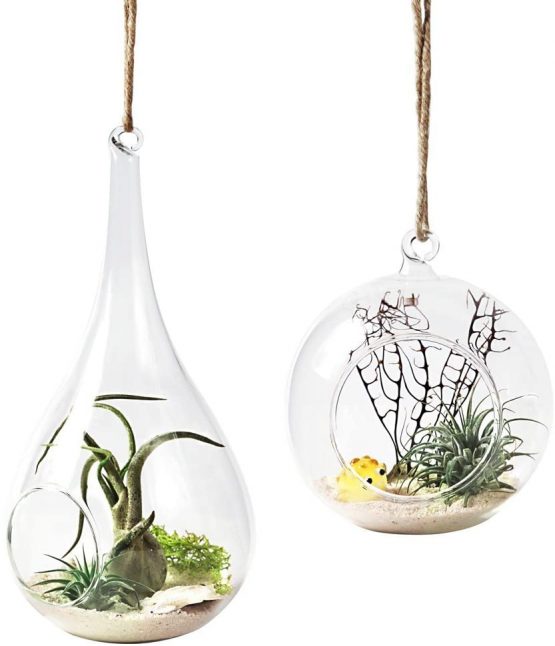 Mkouo 3 Pack Glass Hanging Planter Air Fern Holder Terrarium Plants Hanger Vase Home Decoration for Succulent Moss Tillandsias Air Plants, Olive, Globe and Teardrop - Image 4
