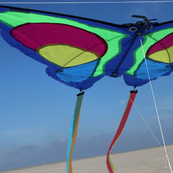 Wolkenstürmer Children Flying Dragon Butterfly - 1-line beginners kite for Kids, with poles - Image 3