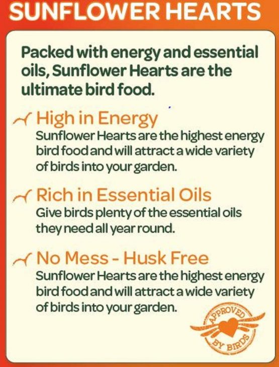 Peckish Sunflower Hearts for Wild Birds, 1 kg - Image 3